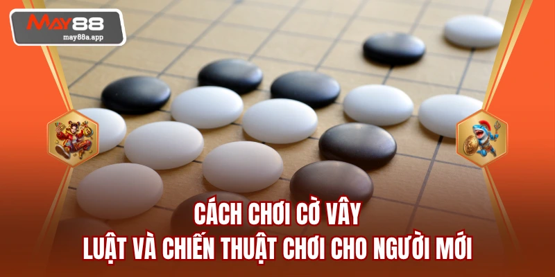 Cách Chơi Cờ Vây - Luật Và Chiến Thuật Chơi Cho Người Mới