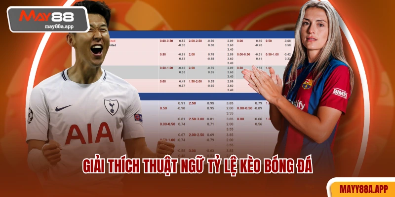 Giải thích thuật ngữ tỷ lệ kèo bóng đá